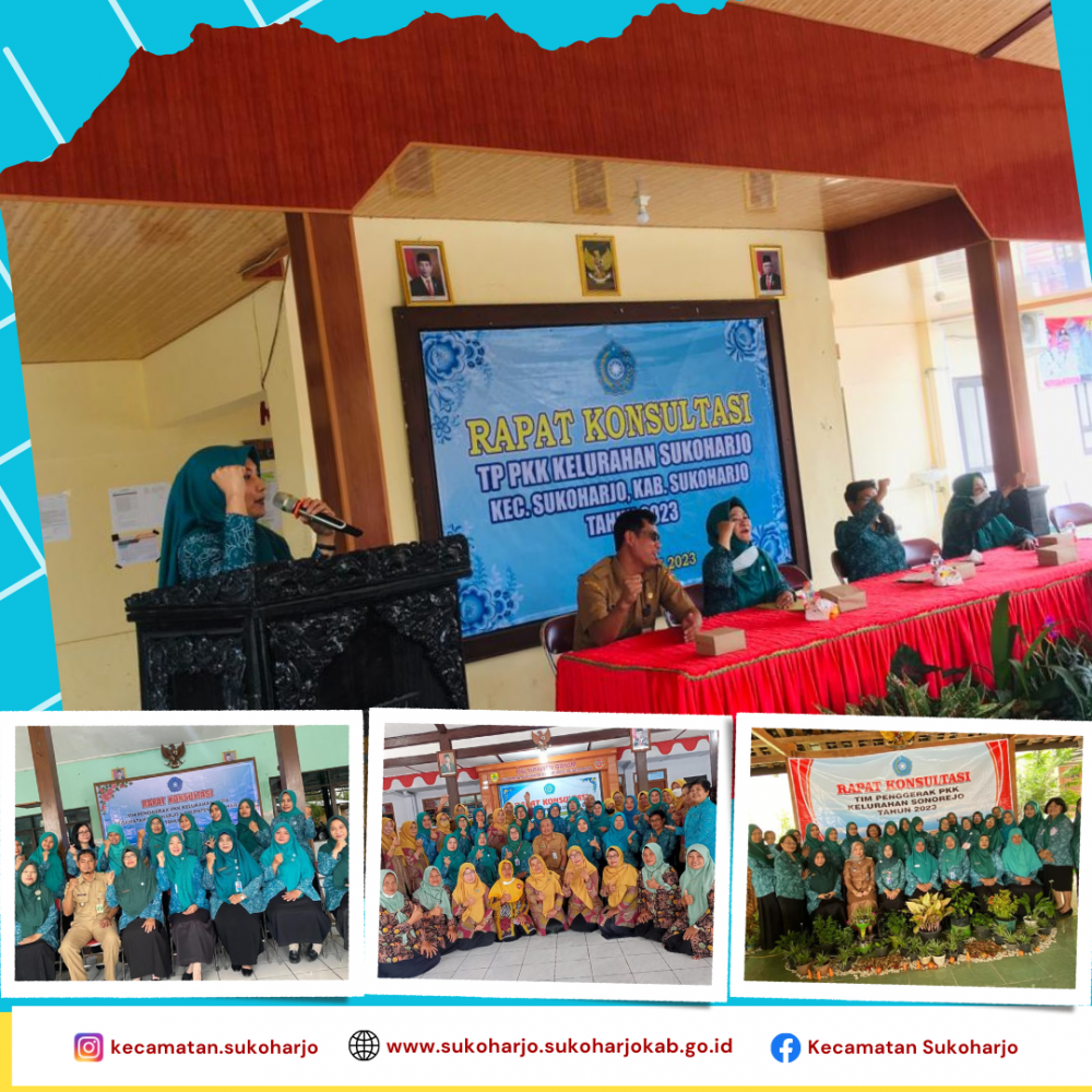 Pemantauan Rapat Konsultasi Tim Penggerak PKK di Kelurahan Sonorejo