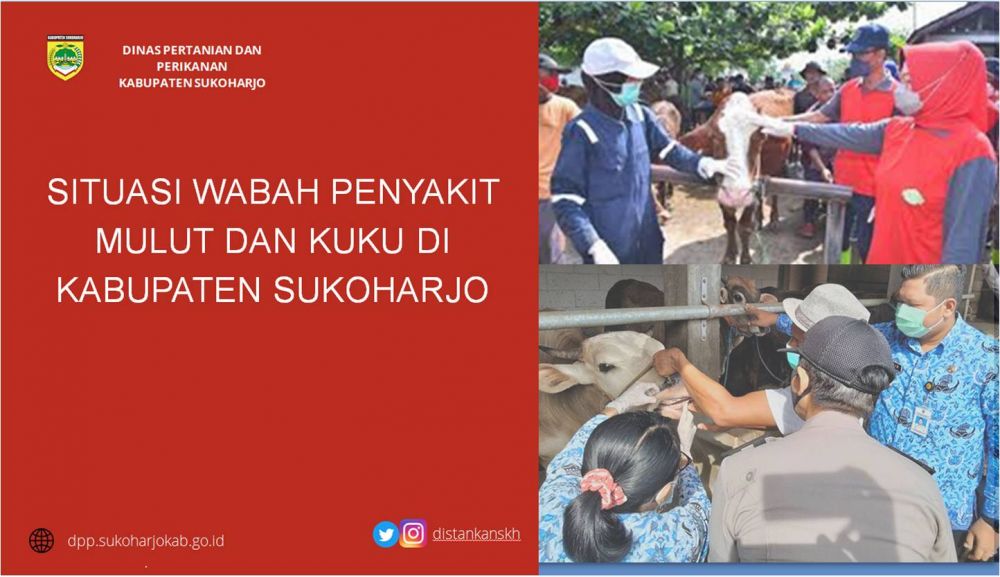 SITUASI WABAH PENYAKIT MULUT DAN KUKU DI KABUPATEN SUKOHARJO